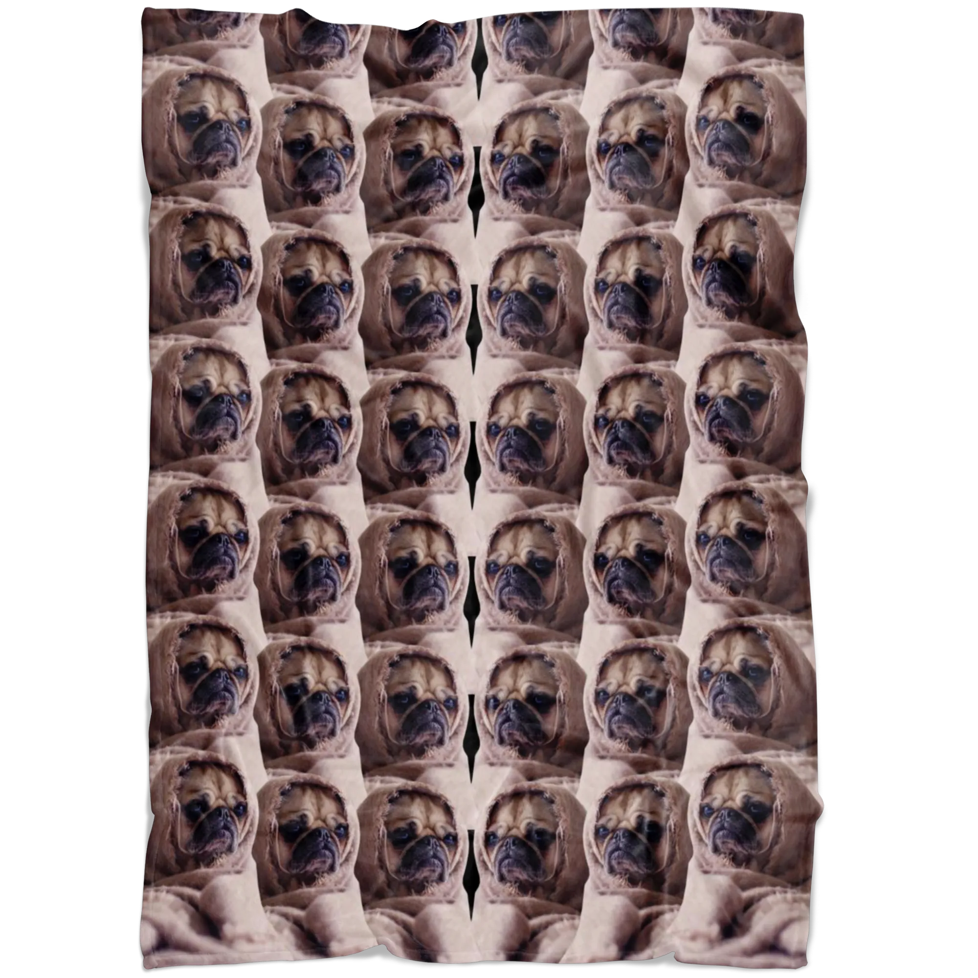 Pugs wrapped in a blanket fleece blanket