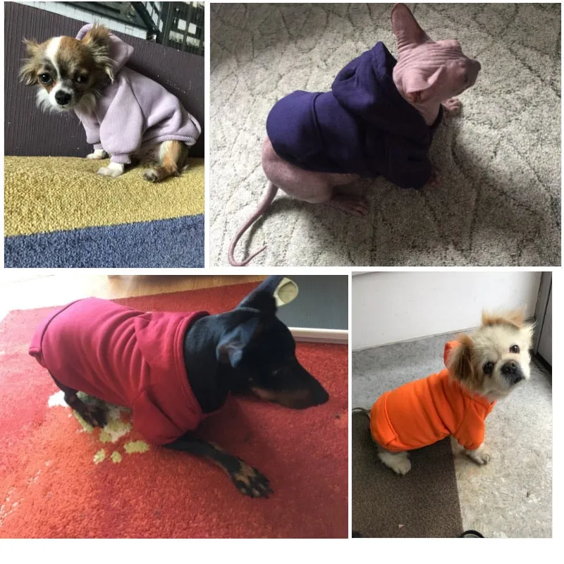 Winter Warm Hoodie Sweater For Dogs 7 Pets